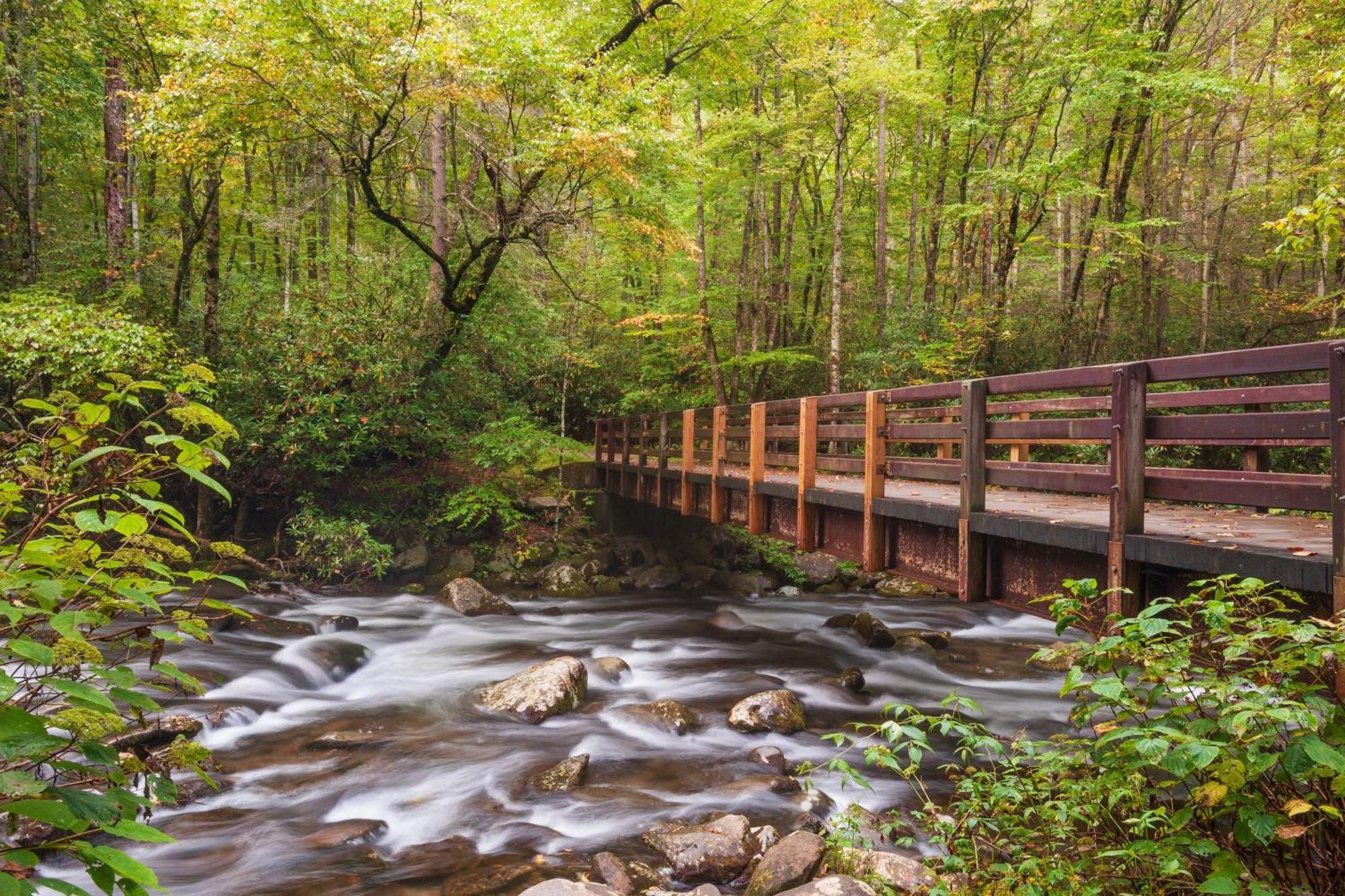 Mountain Eden, Hot Tub, Resort Pool, Wifi, 1089 Free Tickets Each Paid Day, Dollywood And More Gatlinburg Esterno foto